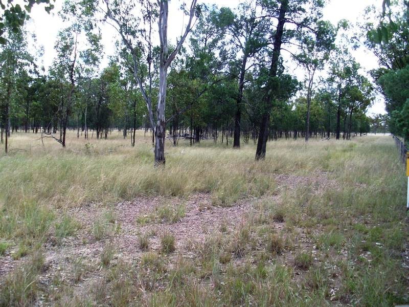 3685 Moonie Highway, Dalby QLD 4405