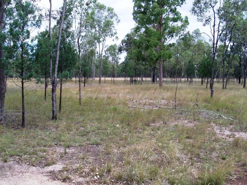 3685 Moonie Highway, Dalby QLD 4405