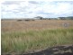 31 Diamond Drive, Dalby QLD 4405