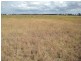 31 Diamond Drive, Dalby QLD 4405