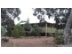 29 Cedarvale Road, Bell QLD 4408