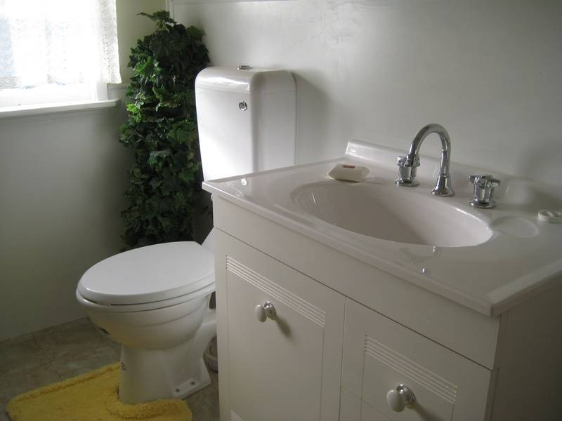 64 Eva Street, Jandowae QLD 4410