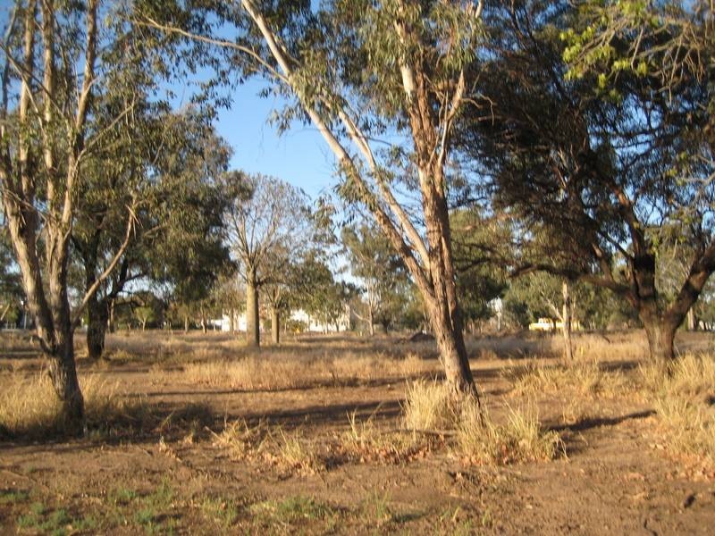 2/13 Alfred Street, Dalby QLD 4405