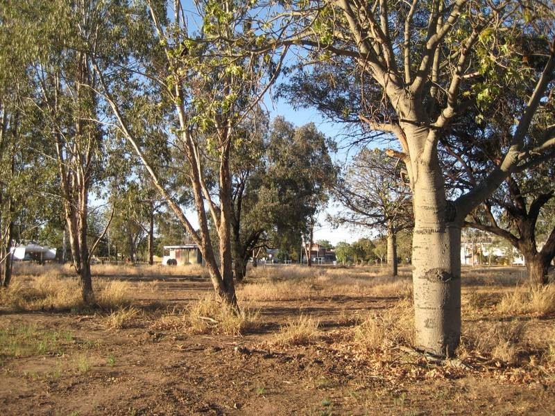 2/13 Alfred Street, Dalby QLD 4405