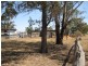 Lot 4 Cooper Street, Dalby QLD 4405