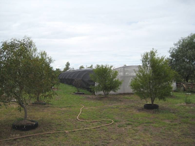 39 Thrupps Access Road, Dalby QLD 4405