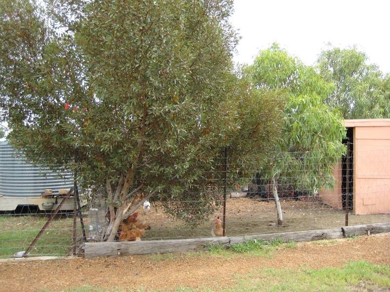 39 Thrupps Access Road, Dalby QLD 4405