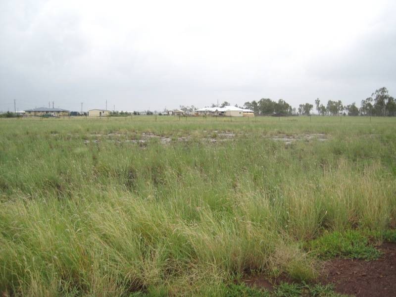 45 Southern Cross Drive, Dalby QLD 4405