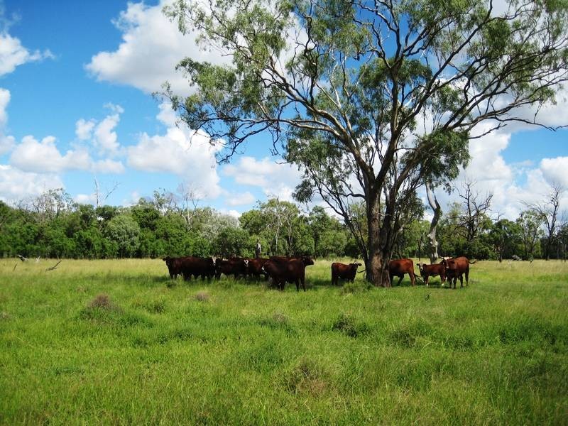 Lot 100,  McIvers Road, Bell QLD 4408