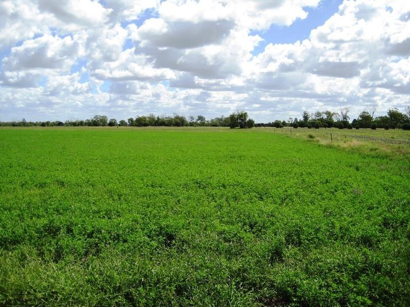 Lot 100,  McIvers Road, Bell QLD 4408