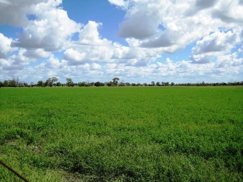 Lot 100,  McIvers Road, Bell QLD 4408