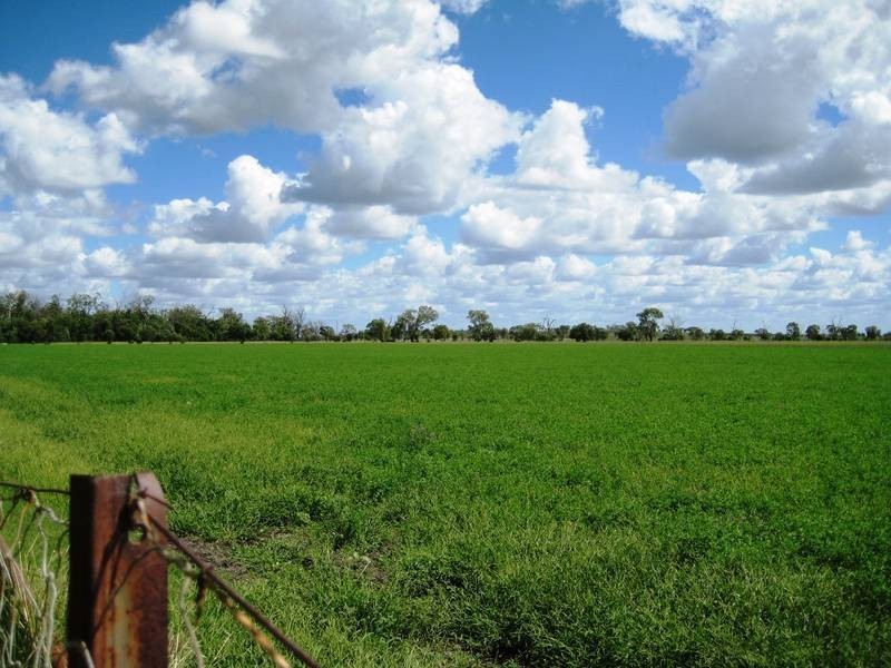 Lot 100,  McIvers Road, Bell QLD 4408