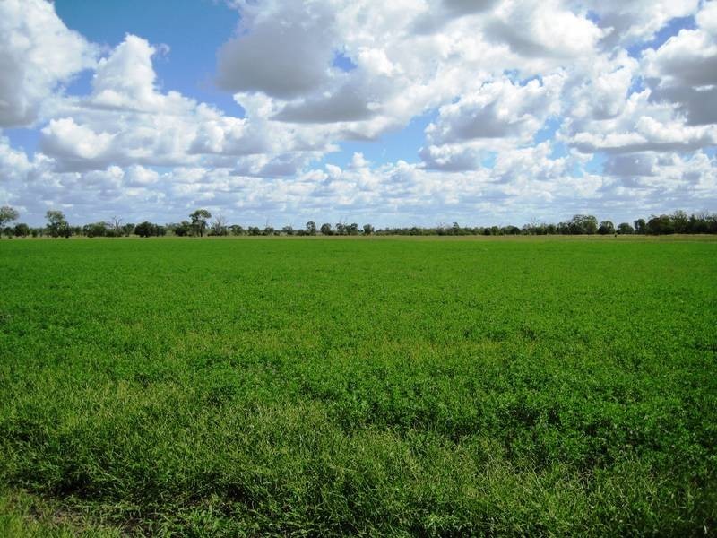 Lot 100,  McIvers Road, Bell QLD 4408