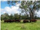 Lot 100,  McIvers Road, Bell QLD 4408