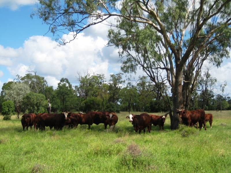 Lot 100,  McIvers Road, Bell QLD 4408