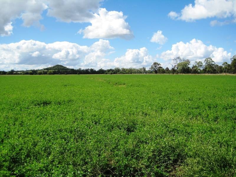 Lot 100,  McIvers Road, Bell QLD 4408