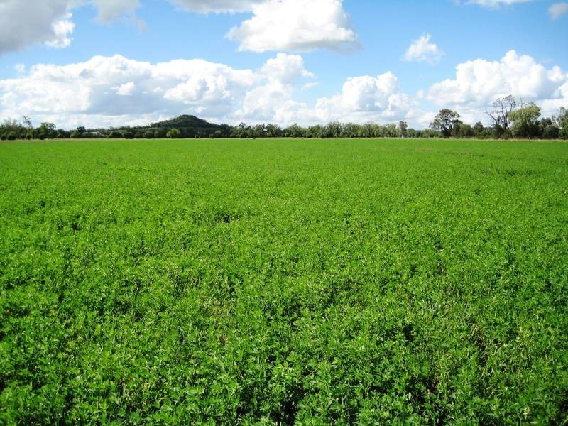 Lot 100,  McIvers Road, Bell QLD 4408