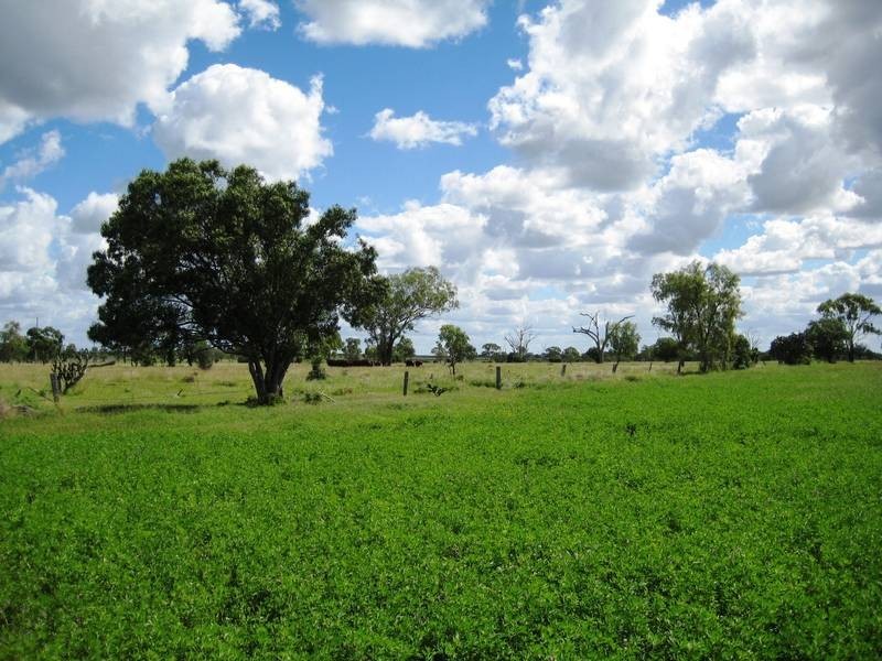 Lot 100,  McIvers Road, Bell QLD 4408