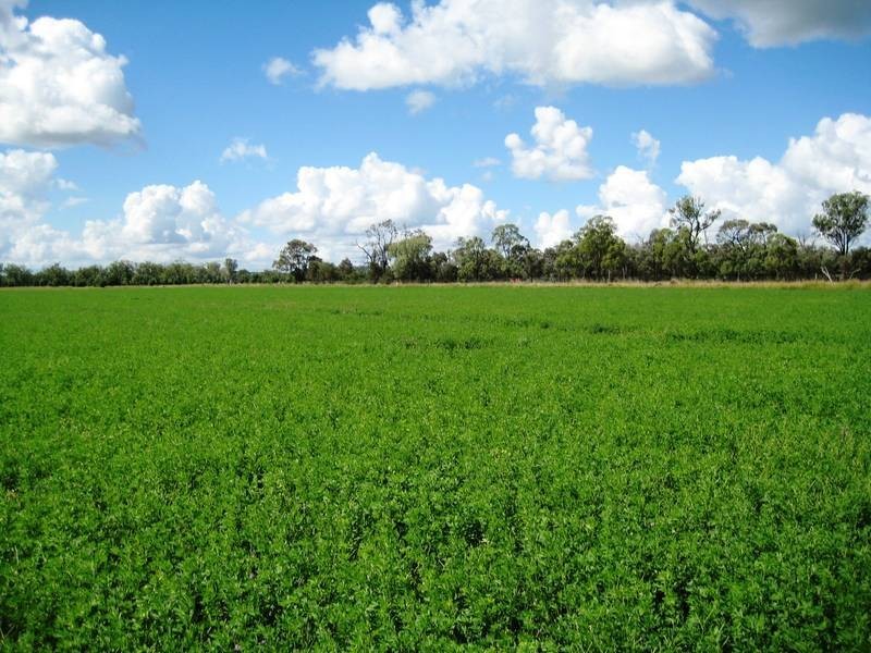 Lot 100,  McIvers Road, Bell QLD 4408