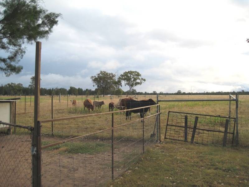 4093 Moonie Highway, Dalby QLD 4405