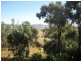 317 Beauaraba Rd, Biddeston QLD 4401