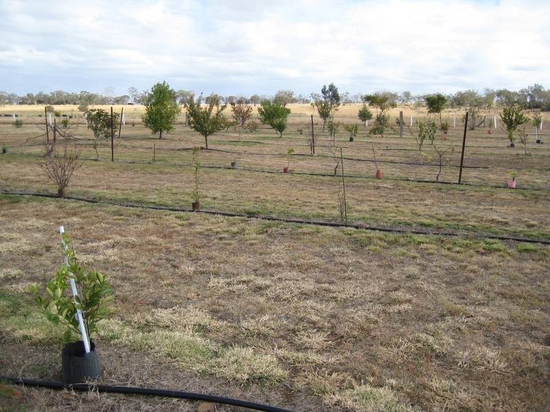 98 Mahoney’s Road, Irvingdale, Dalby QLD 4405