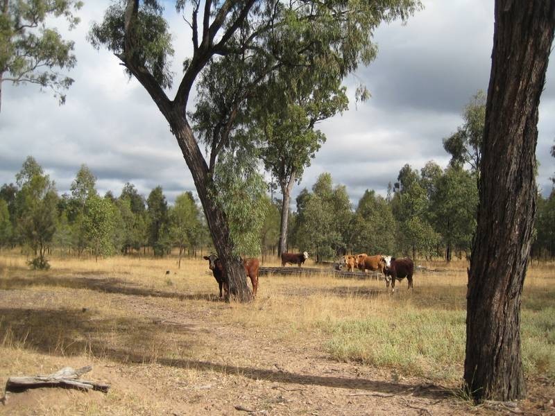 176 Church Road, Kogan QLD 4406