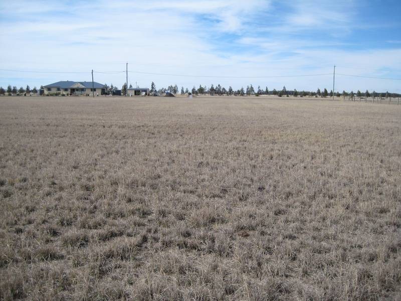 Lot 7,  Derrick Ave, Dalby QLD 4405