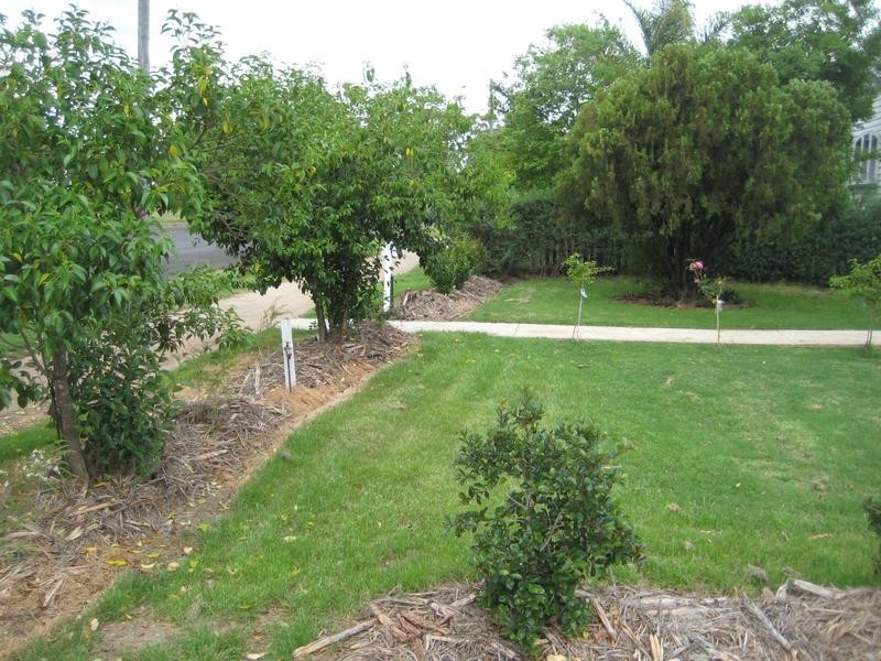 84 High Street, Jandowae QLD 4410