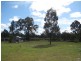 1465 Goranba Lane, Tara QLD 4421