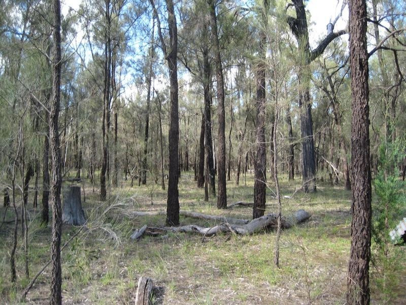 33 McKee Drive, Weranga QLD 4405