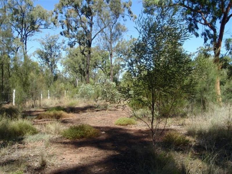 92 Bark Road, Condamine Farms, Millmerran QLD 4357