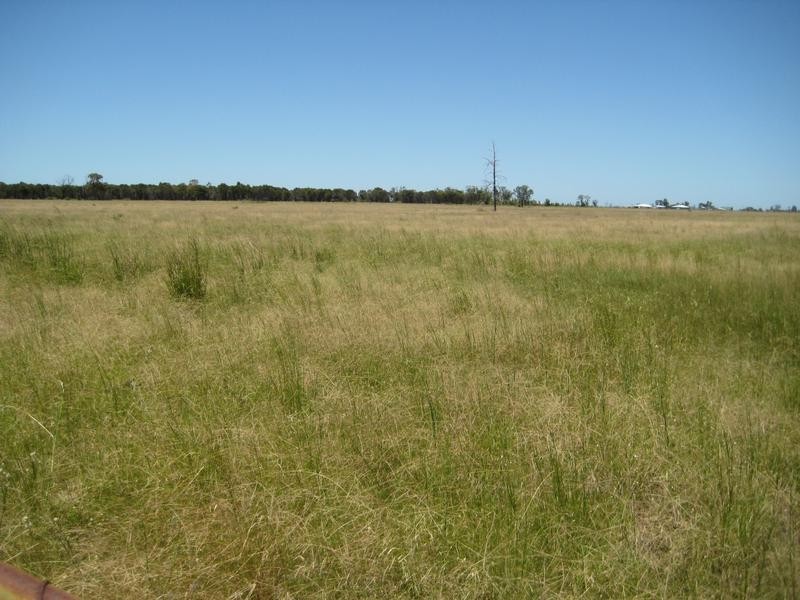 193 Branch Creek Road, Dalby QLD 4405