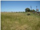 193 Branch Creek Road, Dalby QLD 4405