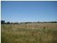 193 Branch Creek Road, Dalby QLD 4405