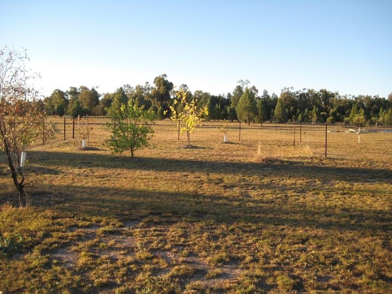 2007 Tara-Kogan Road, Kogan QLD 4406