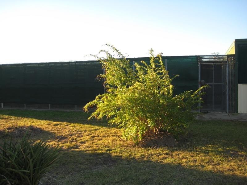 2007 Tara-Kogan Road, Kogan QLD 4406