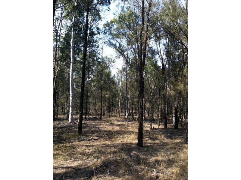 Lot 17,  Cypress Road Kumbarilla, Dalby QLD 4405
