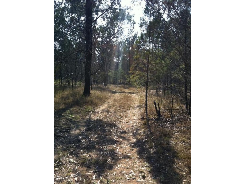 Lot 17,  Cypress Road Kumbarilla, Dalby QLD 4405