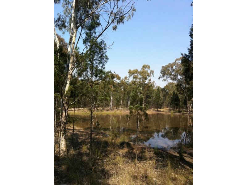 Lot 17,  Cypress Road Kumbarilla, Dalby QLD 4405