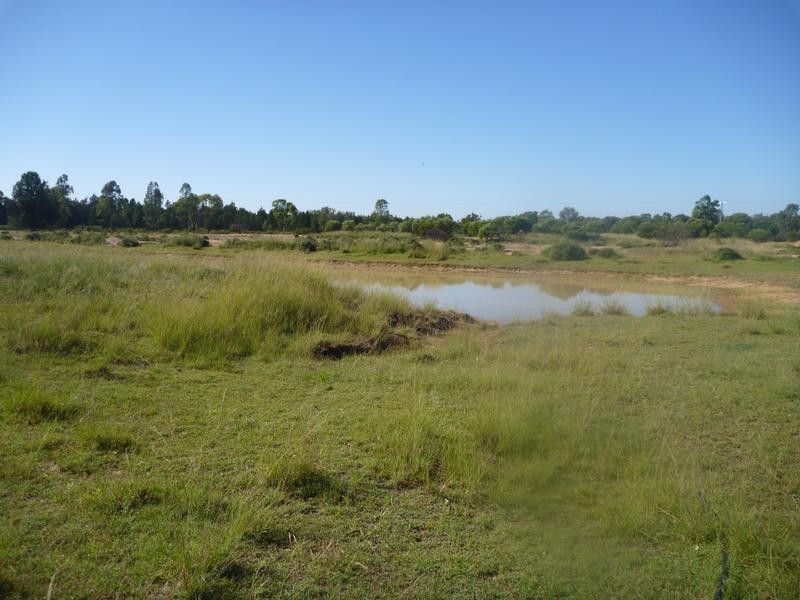 418 Gulera Road Kumbarilla, Dalby QLD 4405