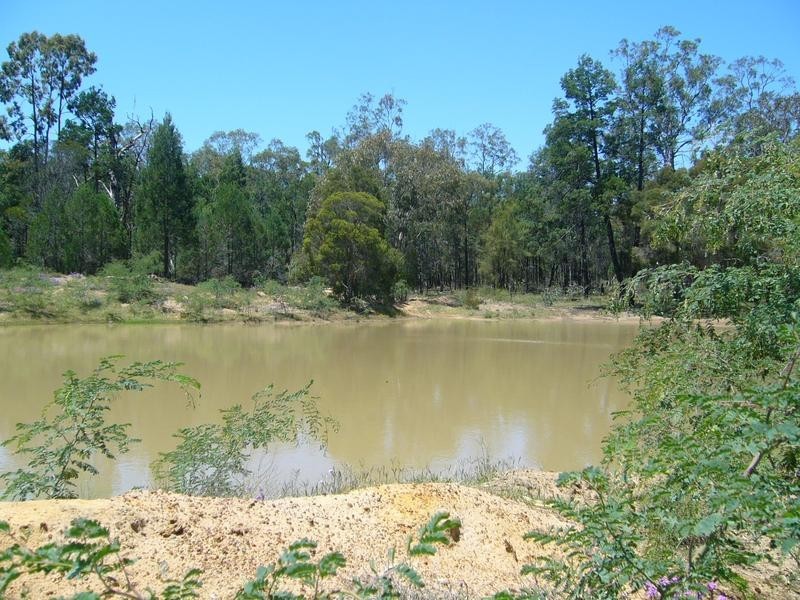 945 Gulera Road Ducklo, Dalby QLD 4405