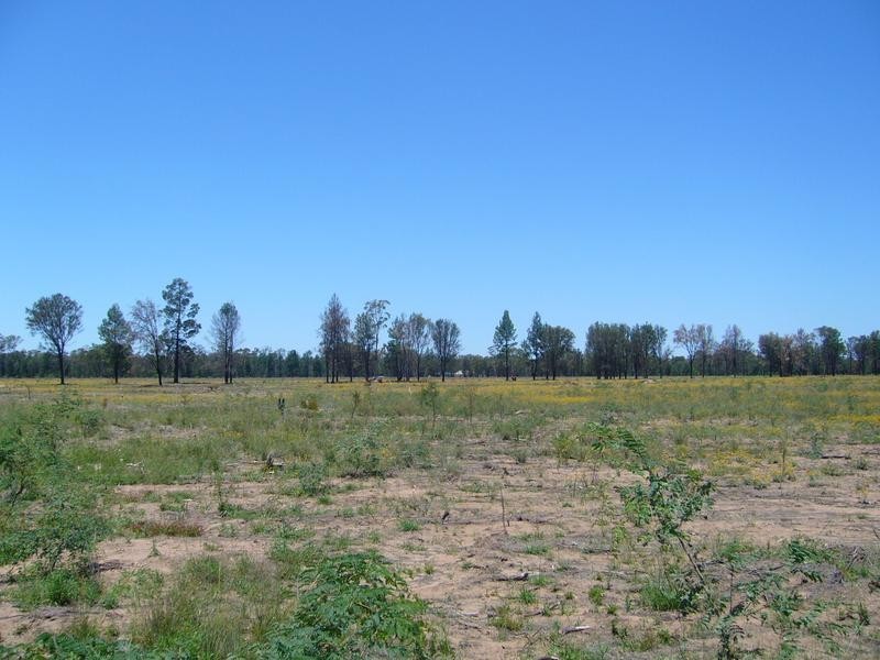 945 Gulera Road Ducklo, Dalby QLD 4405