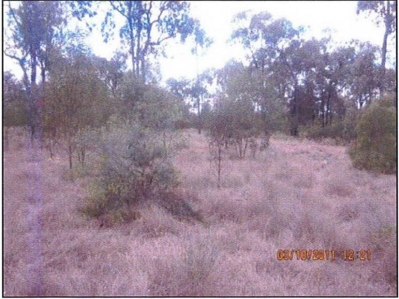 Lot 63,  Lucky Road, Tara QLD 4421