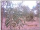 Lot 63,  Lucky Road, Tara QLD 4421
