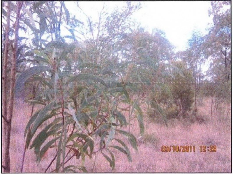 Lot 63,  Lucky Road, Tara QLD 4421