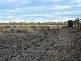 Dalby QLD 4405