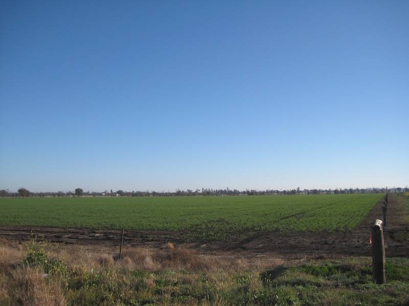 Lot/127 Wilds Rd, Dalby QLD 4405