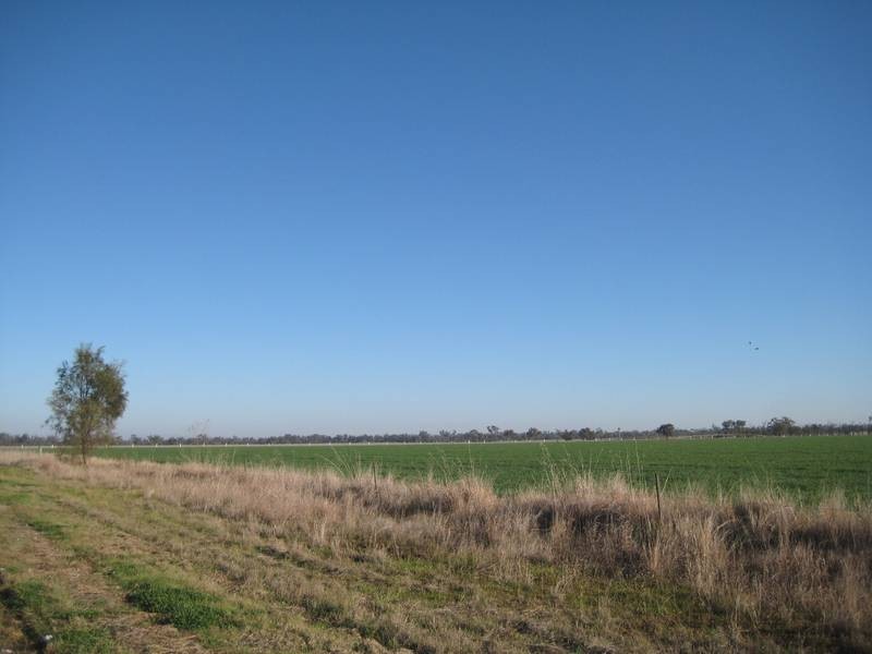 Lot/127 Wilds Rd, Dalby QLD 4405