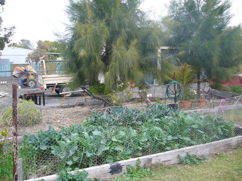 Lot 49, 5 Grant Street, Bowenville QLD 4404